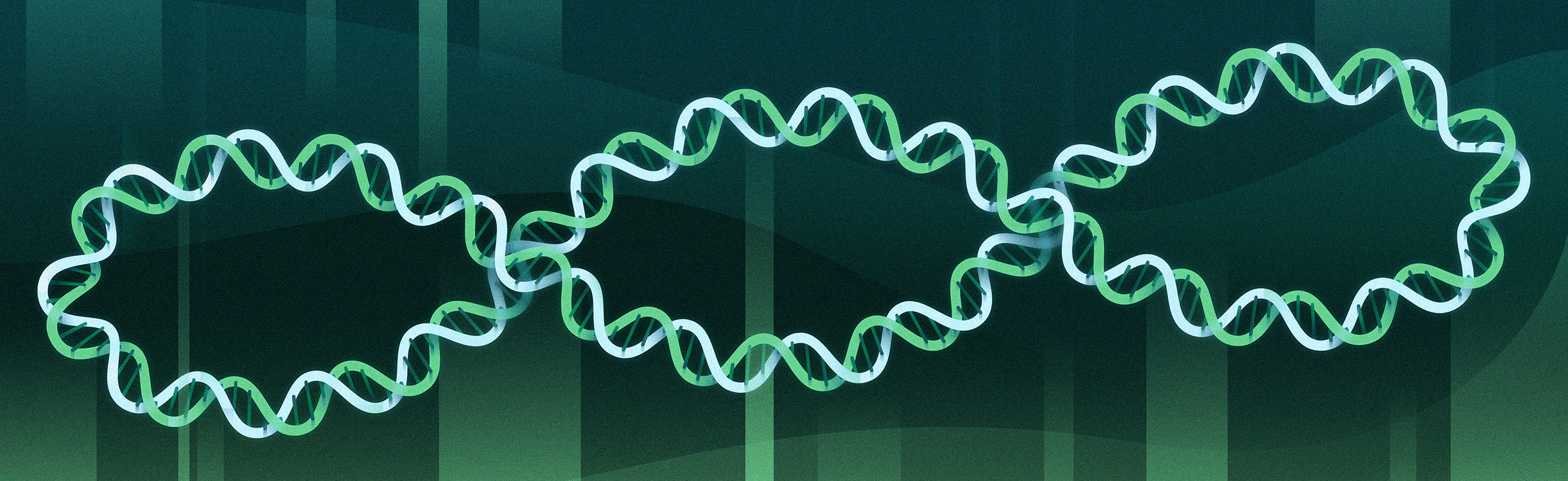 An illustrated double helix plasmid in green